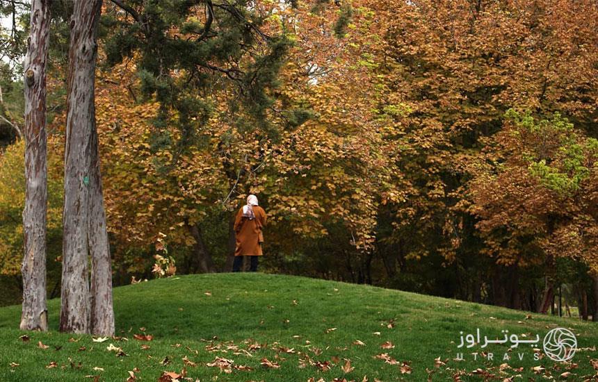 طبیعت پاییزی پارک آزادی شیراز